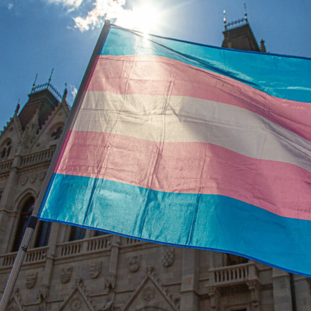 Trans flag