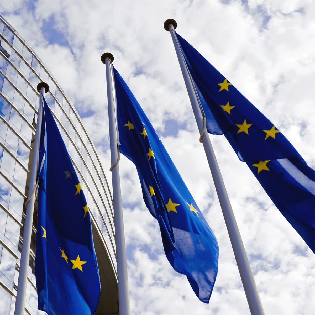 EU flags