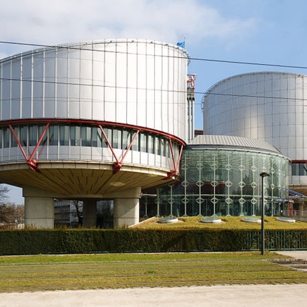 European Court of Human Rights