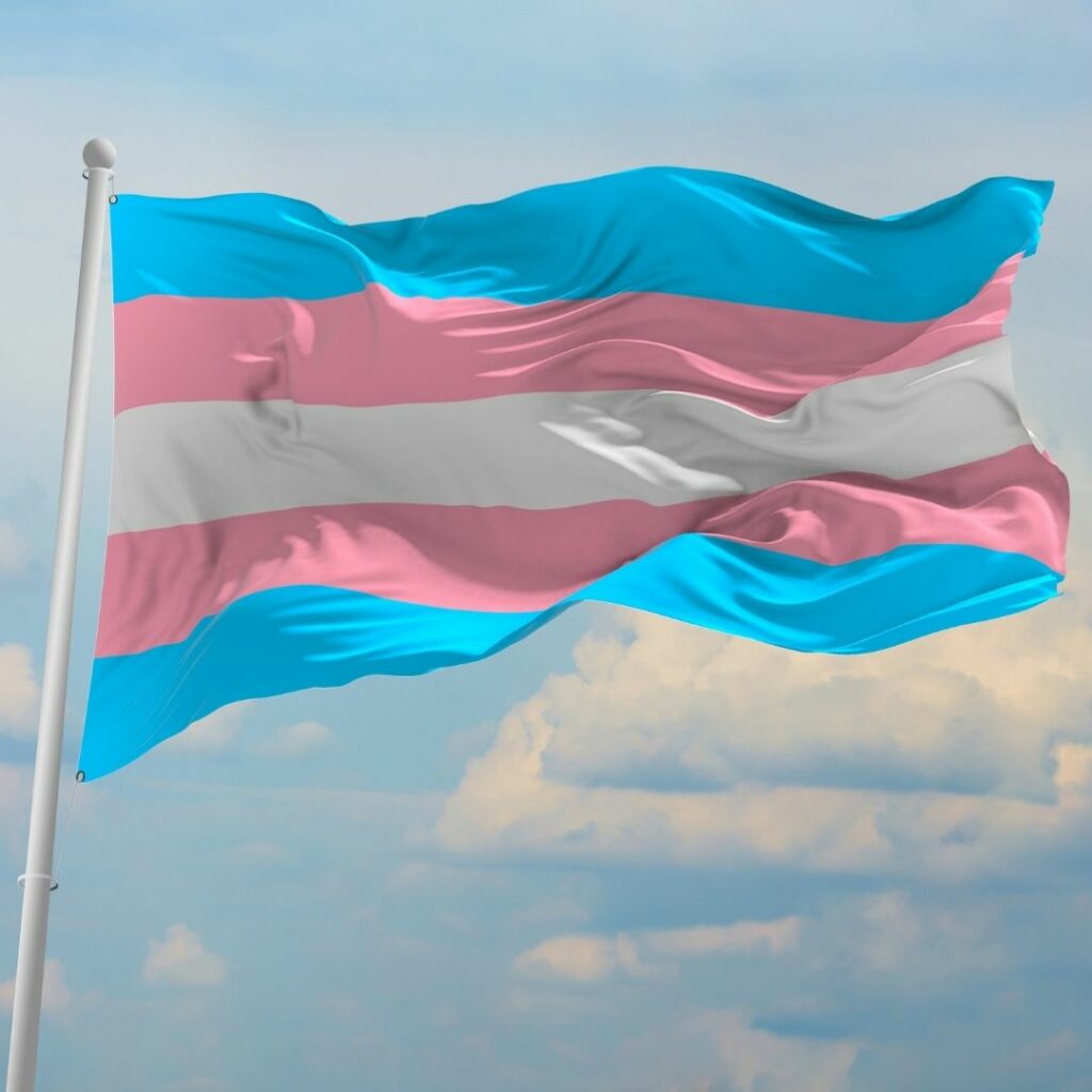flag representing the trans community flies against a blue sky